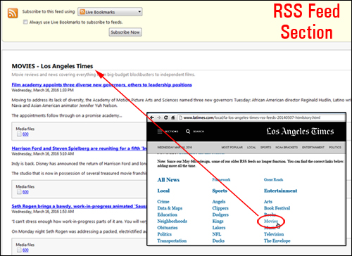 Feed sections can also contain subcategories.