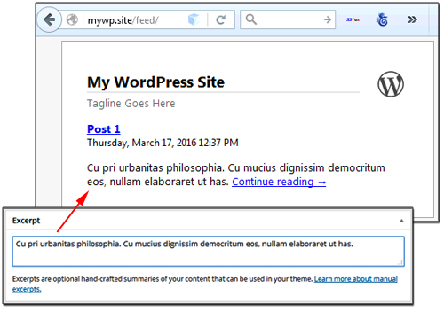 Post excerpts affect how your feed content will appear