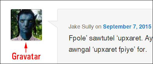 A Gravatar is a special kind of avatar used in WordPress