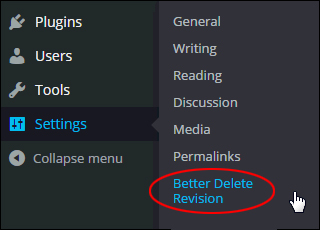 Better Delete Revision - WordPress Settings Menu
