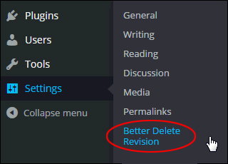 WordPress Settings Menu - Better Delete Revision