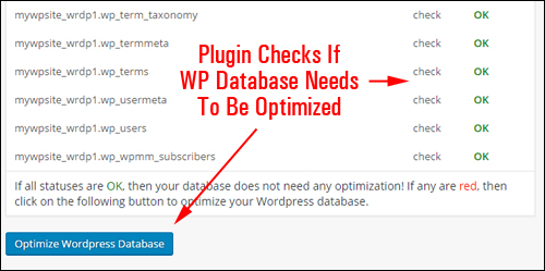 Better Delete Revision checks if your WP database needs optimization