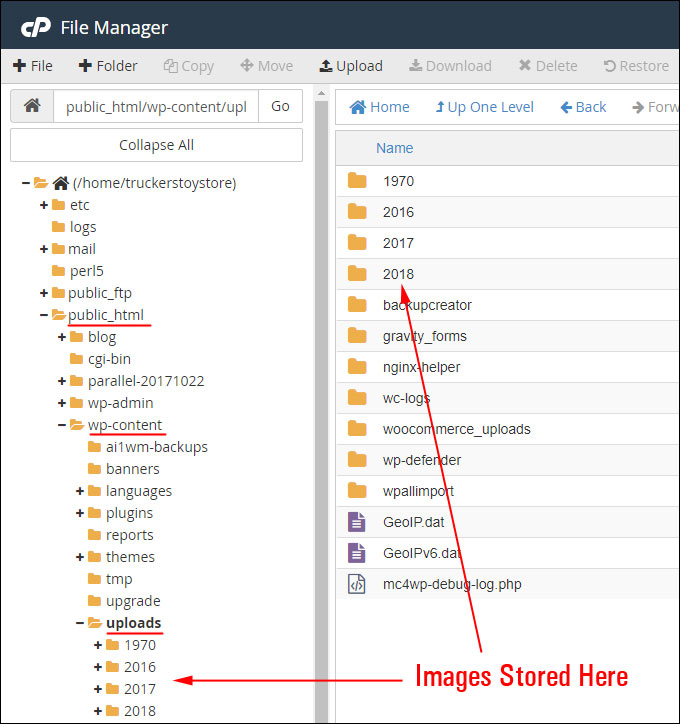 Media files like images are stored in your server