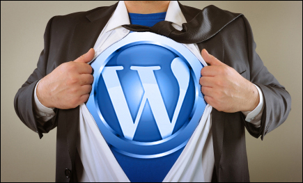Make Money With WordPress Providing Technical Support Services