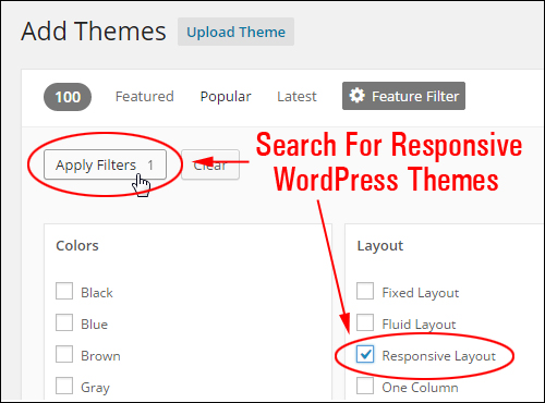 Use WordPress Theme Feature Filter