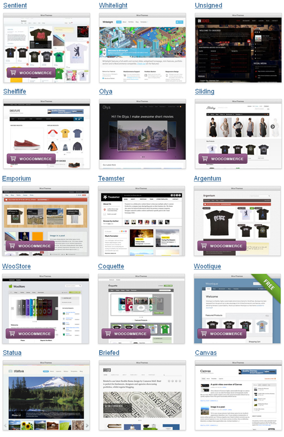 WooThemes For WordPress