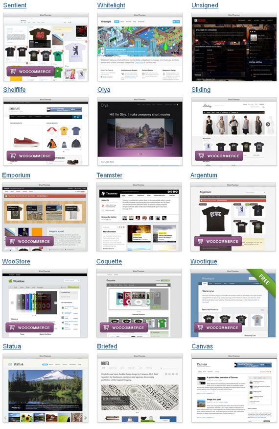 Woo Themes WordPress Themes