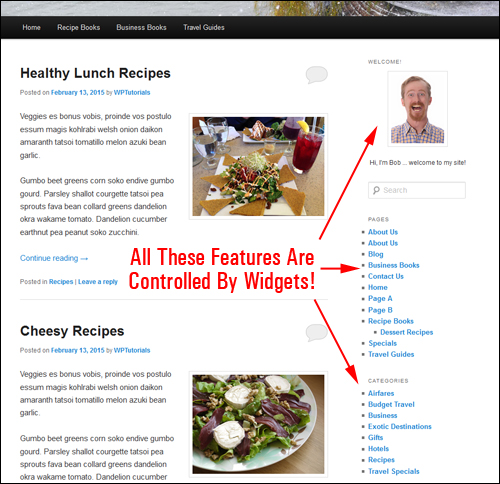 Widgets make managing and using WordPress easier