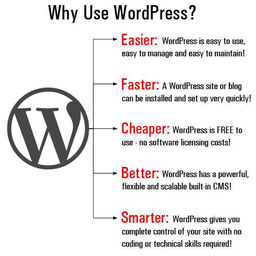 WordPress is the easiest, fastest, cheapest, better, and smarter tool for growing your digital presence!