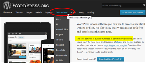 The WordPress core software is built by an open community of volunteer web developers