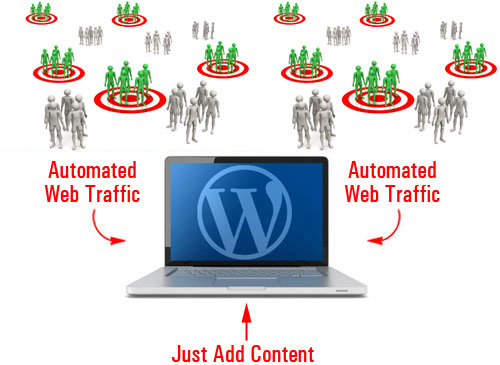 How much time and money would you save if you could automate the process of driving traffic to your website?