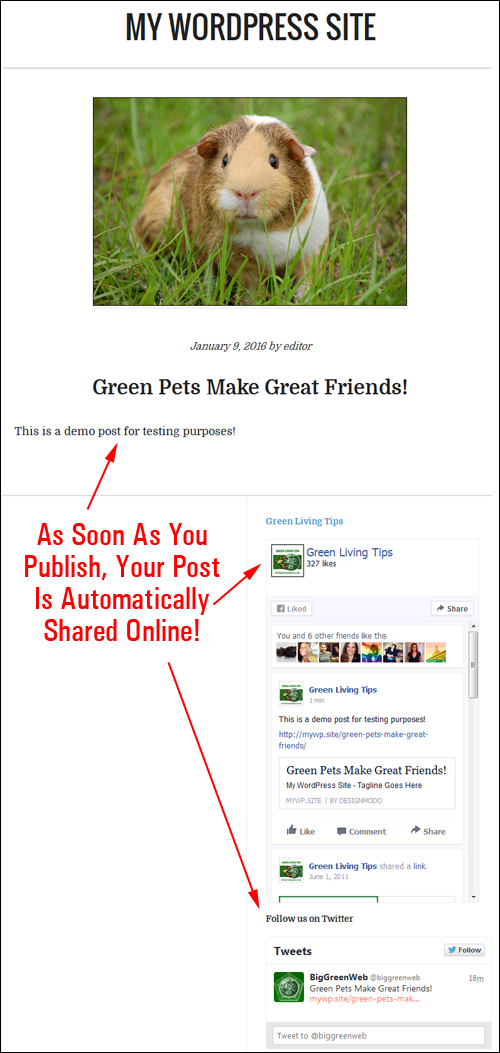 As soon as you publish, your new content will be automatically shared online.