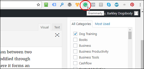 Install Grammarly on your web browser