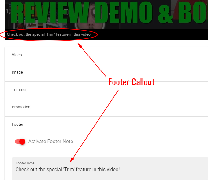 Affiliate Video Pro - Add A Footer Callout