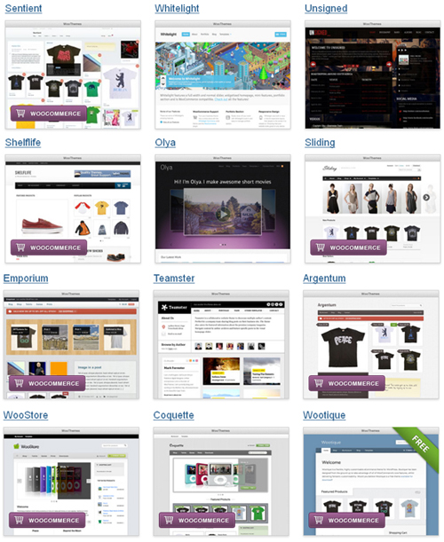 WooThemes eCommerce Themes
