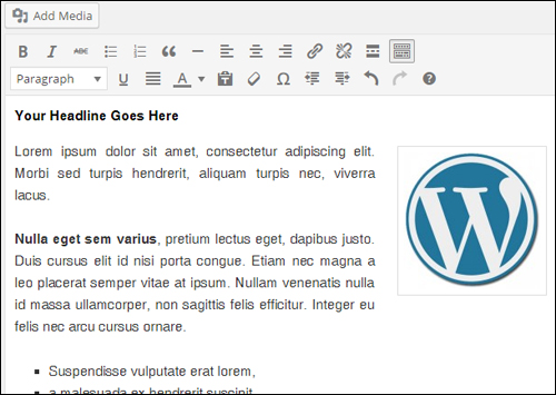 WordPress Content Editor