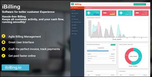 iBilling - Accounting and Billing Software - WordPress Plugin