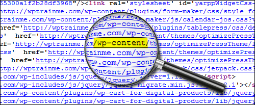 Tell-Tale Signs It's A WordPress Site And WP-Checking Tools