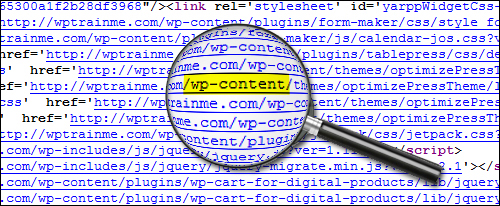 Tell-Tale Signs It's A WordPress Web Site And WP-Checking Tools