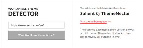 WordPress Theme Detector displays theme results