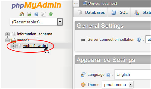 Changing Your Admin User Name In WordPress