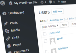 Learn How To Use WordPress