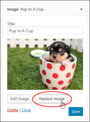 Image Widget - Replace image