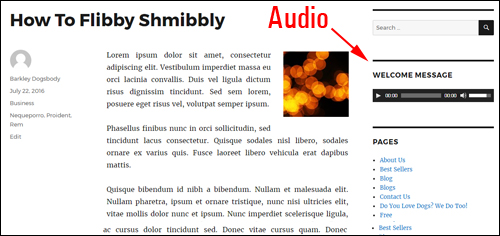 Audio file added to your site using the WordPress Audio Widget