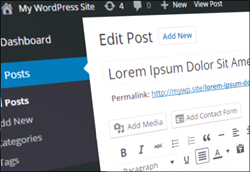 {How To Edit And Delete|Editing And Deleting} {WordPress Posts|Posts In WordPress|A WordPress Post|A Post In WordPress}
