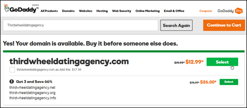 GoDaddy Domain Registration Screen