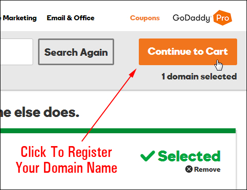 Domain name registration process - Continue to cart