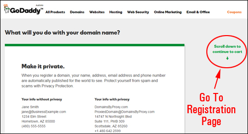 GoDaddy - domain name registration process