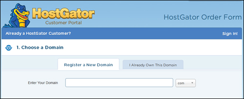 Step 1 - Choose A Domain