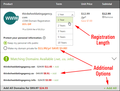 Select your domain name options