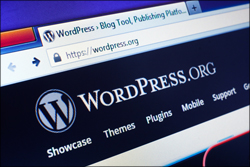 Decide Where To Install WordPress