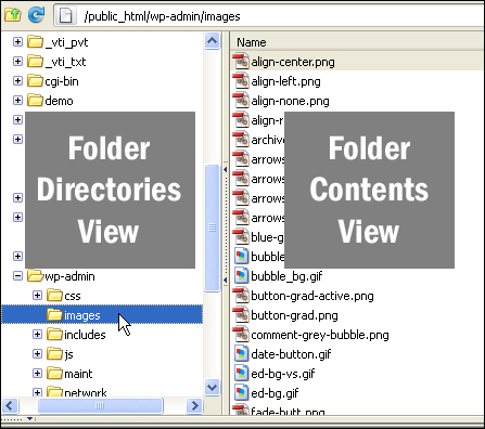 Viewing folders and files on your server
