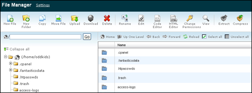 File Manager area