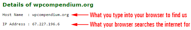 All domain names have an IP address