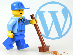 How To Clean Up A New WordPress Installation