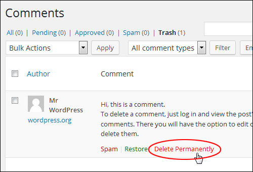 WordPress Comments screen - Delete Permanently