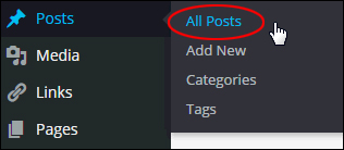 WordPress Posts Menu - All Posts