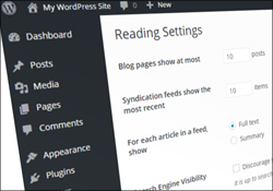 Configuring WordPress - Reading Settings