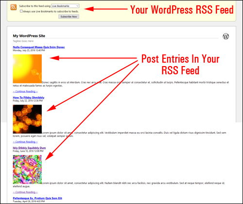 Post entries in your WordPress RSS feed