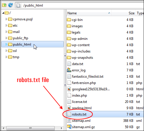 Location of robots.txt file