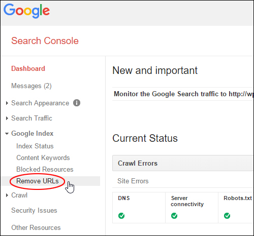 Google Index > Remove URLs