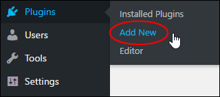 Plugins > Add New