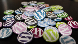 WordPress Multisite - A Beginner's Guide