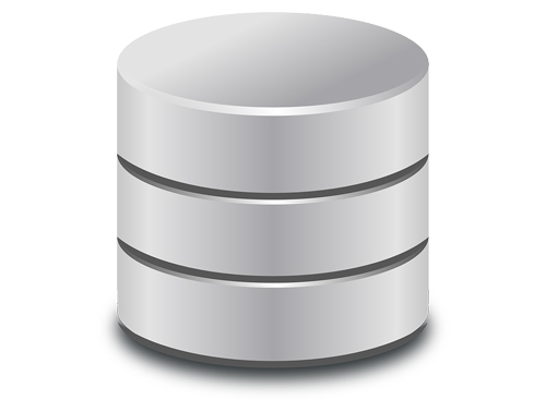 WordPress Database Management