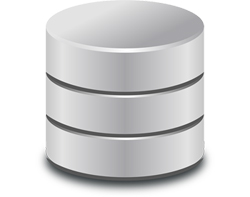 WordPress Database Management