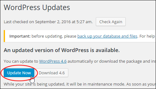 WordPress Update Now Button